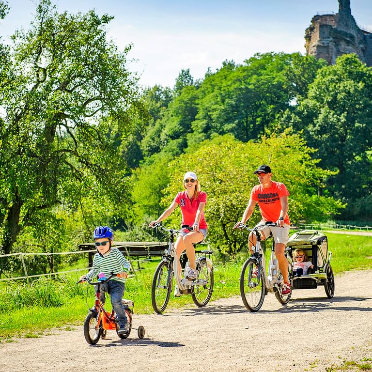 Familjeresa Lembach Fleckenstein